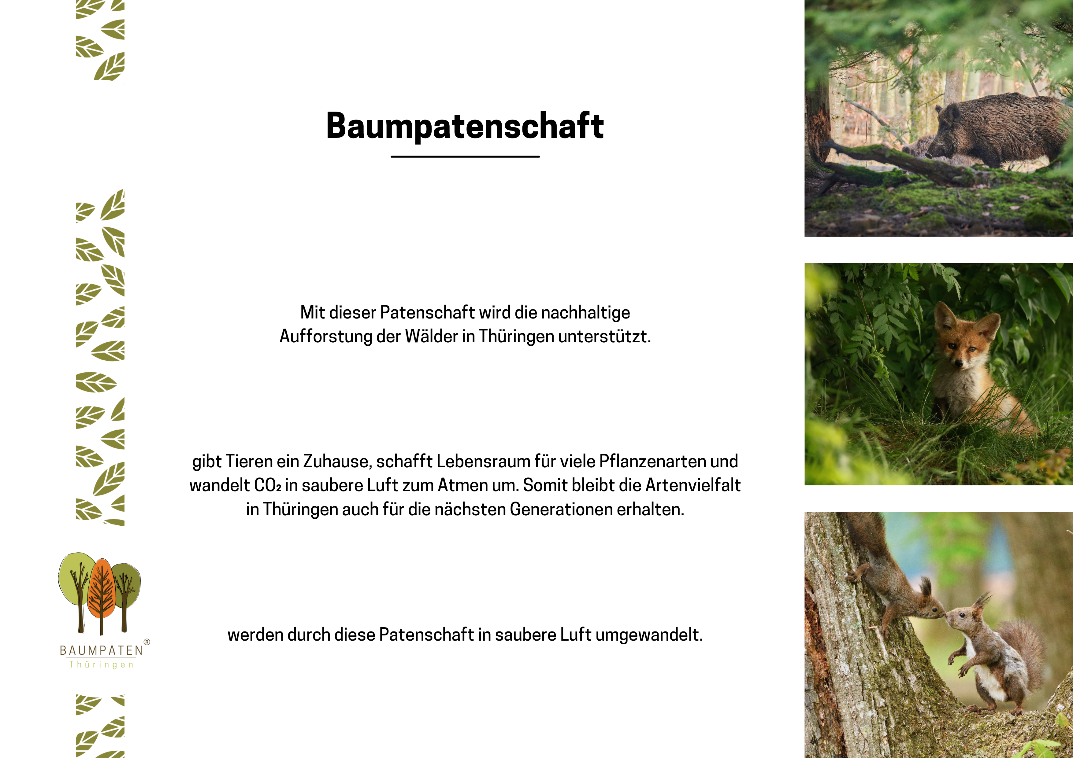 Firmenwald Baum